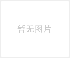 蓝牙耳机**** 手机耳机 H26S